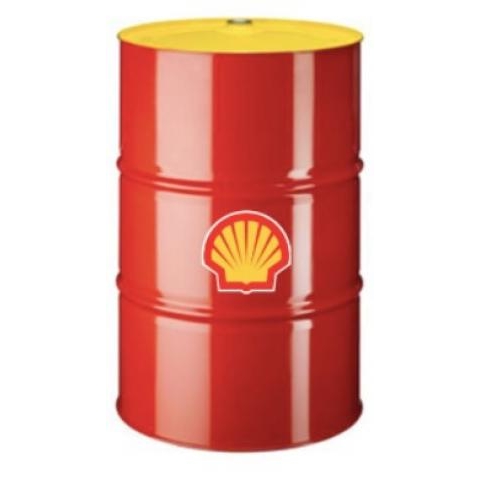 Shell Rhodina 0833